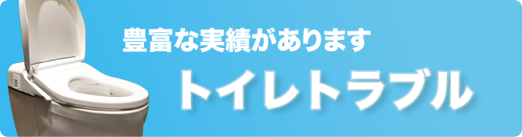 豊富な実績があります。トイレトラブル